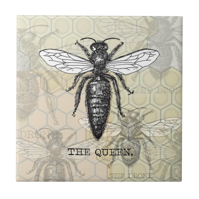 Azulejo De Cerámica Ilustracion de antigüedades de insectos de Queen B (Frente)