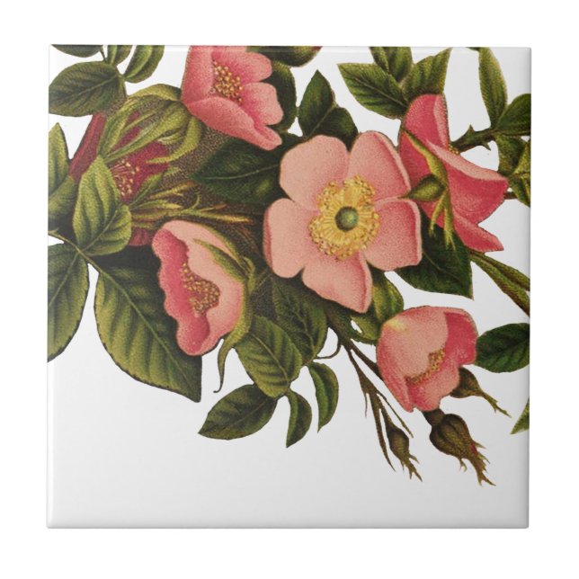 Azulejo De Cerámica Ilustracion de arte Rosa de flores de época (Frente)