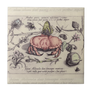 Azulejo De Cerámica Ilustración de flor de insecto botánico de cangrej