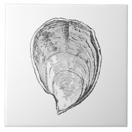 Azulejo De Cerámica Ilustracion de la ostra de Olympia