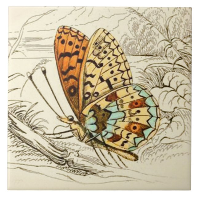 Azulejo De Cerámica Ilustracion de mariposa de época, Naranja y beige (Frente)