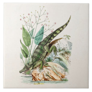 Azulejo De Cerámica Ilustracion del cocodrilo del cocodrilo de los