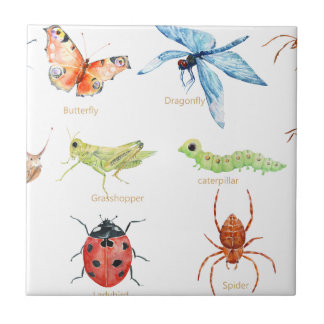 Azulejo De Cerámica Ilustracion del insecto de la acuarela