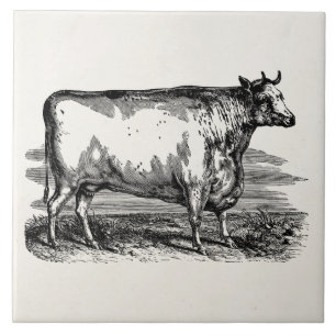 Azulejo De Cerámica Ilustracion personalizado Bull de la vaca de