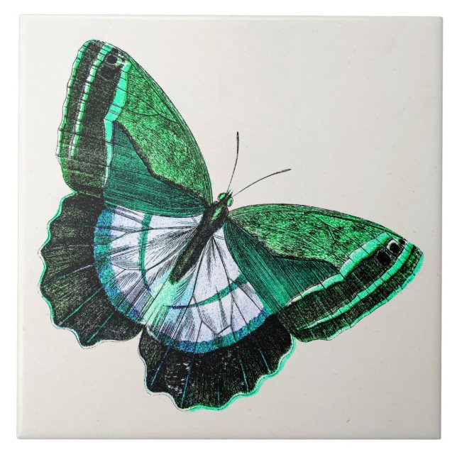 Azulejo De Cerámica Ilustracion verde antiguo de los 1800s de la (Frente)