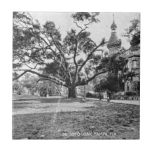 Azulejo De Cerámica Imágenes antiguas de Tampa Florida