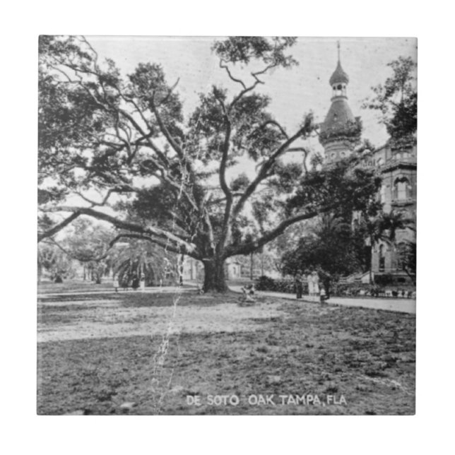 Azulejo De Cerámica Imágenes antiguas de Tampa Florida (Frente)