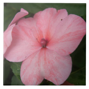 Azulejo De Cerámica Impatios rosa pálido mosaico de flores