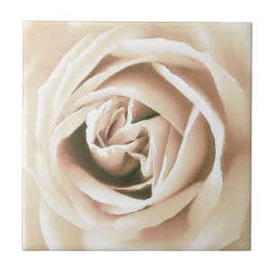 Azulejo De Cerámica Impresión de rosa blanco