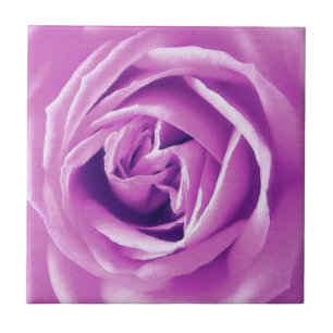 Azulejo De Cerámica Impresión de rosa de lavanda