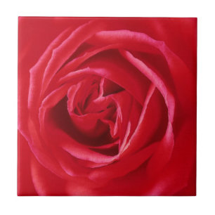 Azulejo De Cerámica Impresión del rosa rojo