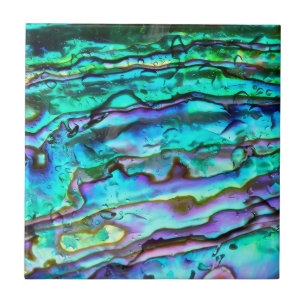 Azulejo de cerámica impreso con abulón