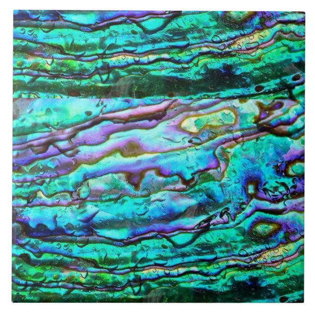 Azulejo de cerámica impreso con abulón (Frente)