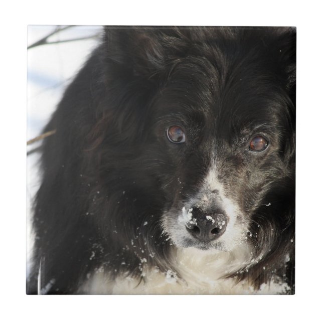 Azulejo De Cerámica indefinido (Frente)