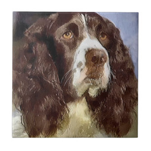 Azulejo De Cerámica Inglés Springer Spaniel Art