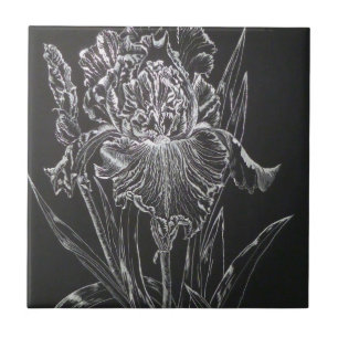 Azulejo De Cerámica Iris