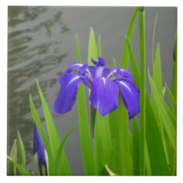 Azulejo de cerámica Iris Azul (Frente)