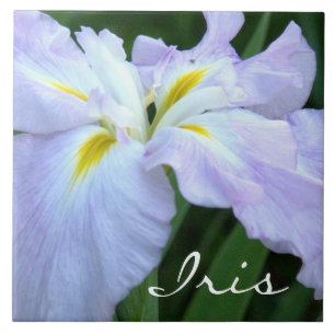 Azulejo De Cerámica Iris color lavanda (fotog)