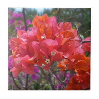Azulejo De Cerámica Isla Tropical Rosa Bougainvillea Floral