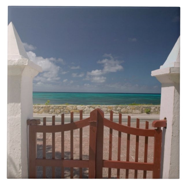 Azulejo De Cerámica Islas Turcas y Caicos, Isla de Gran Turca, Cockbur (Frente)