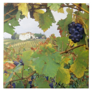 Azulejo De Cerámica Italia, granja toscana vista