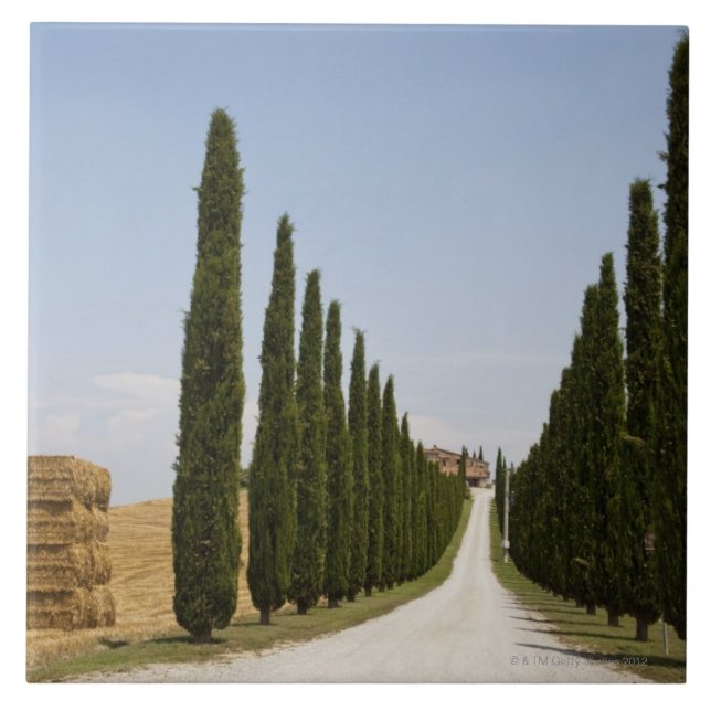 Azulejo De Cerámica Italia. Toscana. Val D'Orcia (valle de Orcia) 3 (Frente)