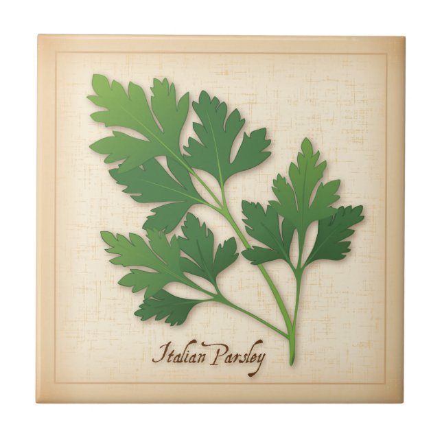 Azulejo De Cerámica Italiano Parsley Herb (Frente)