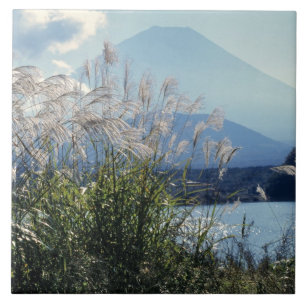 Azulejo De Cerámica Japón, Honshu, Pref. de Yamanashi, Fuji-Hakone-Izu