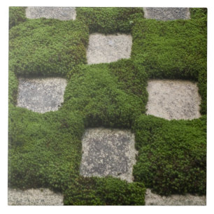 Azulejo De Cerámica Japón, Kioto, Templo Tofukuji, Jardín