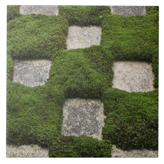 Azulejo De Cerámica Japón, Kioto, Templo Tofukuji, Jardín (Frente)