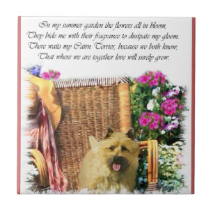 Azulejo De Cerámica Jardín de verano de Cairn Terrier