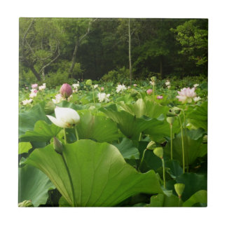 Azulejo De Cerámica Jardín de verano de Lotus Flowers