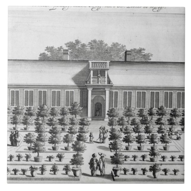 Azulejo De Cerámica Jardín holandés, de "De Nederlandze Hesperides" (Frente)