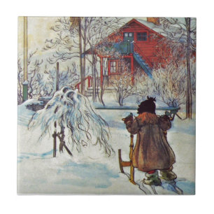 Azulejo De Cerámica Jardín y casa del lavado