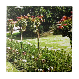 Azulejo De Cerámica jGibney subió jardín snap-29602 de