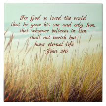 Juan 3:16 Por Dios tan amado el mundo, Biblia Vers