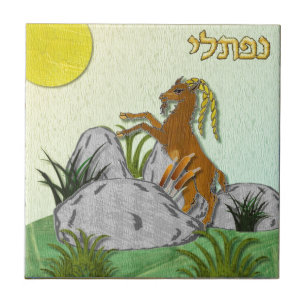 Azulejo De Cerámica Judaica 12 Tribus Israel Neftalí