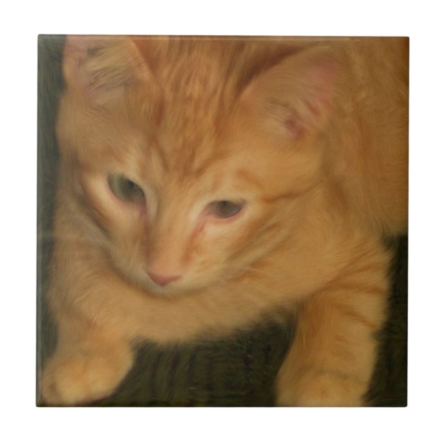 Azulejo De Cerámica Kitty Tile (Frente)