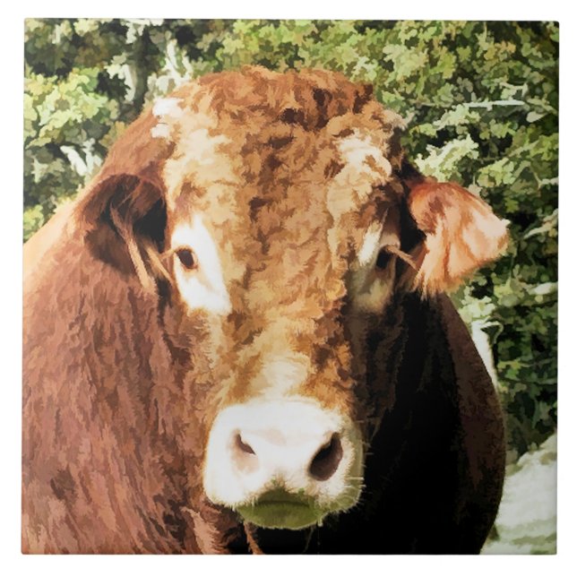 AZULEJO DE CERÁMICA LA BURLA (Frente)