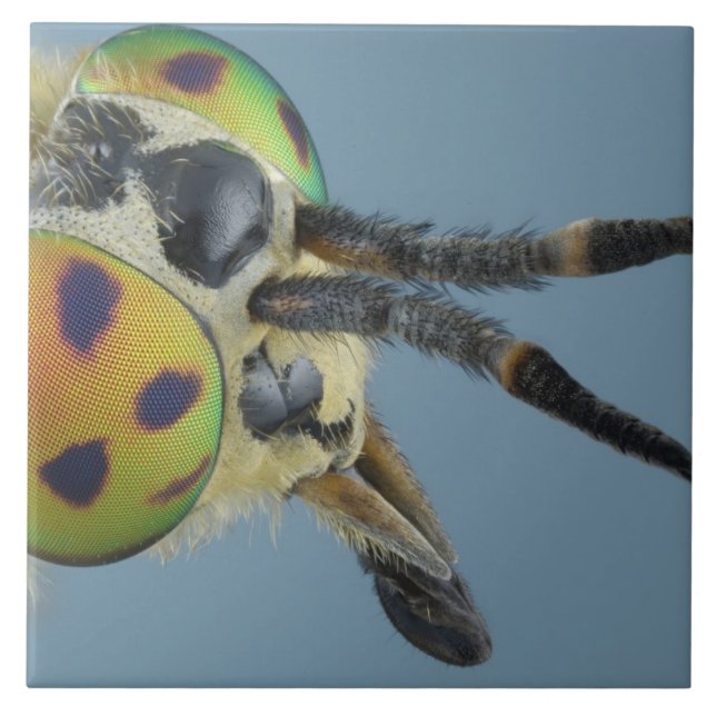 Azulejo De Cerámica La cabeza de ciervos vuela (Frente)