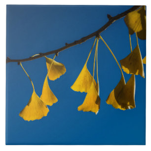 Azulejo De Cerámica La danza en la caída