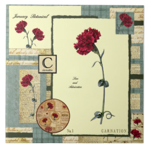 Azulejo De Cerámica La flor de enero
