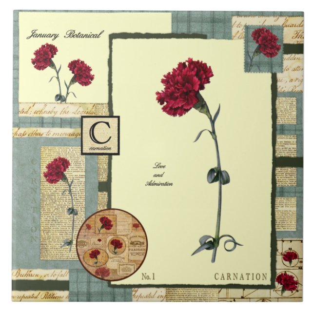 Azulejo De Cerámica La flor de enero (Frente)