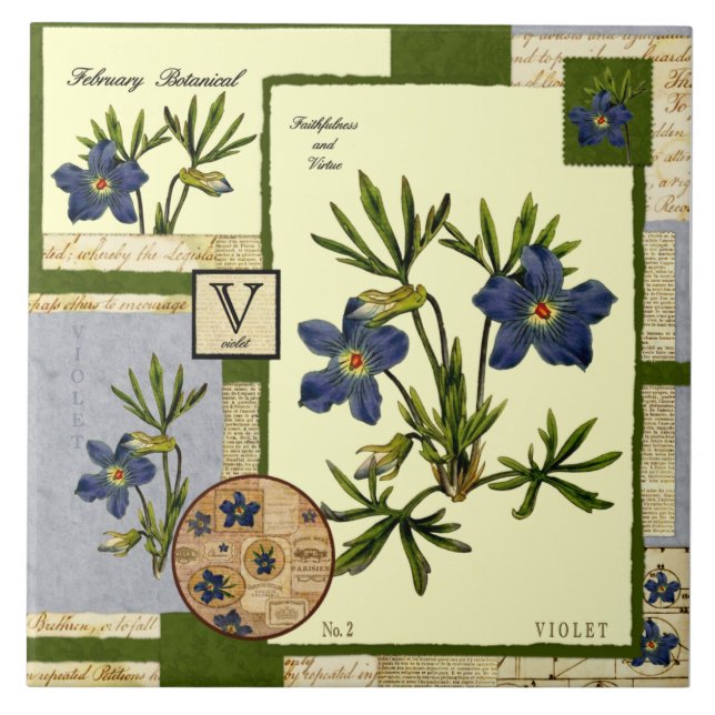 Azulejo De Cerámica La flor de febrero (Frente)