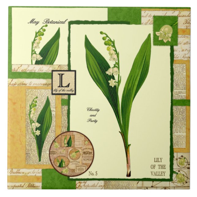 Azulejo De Cerámica La flor de mayo (Frente)