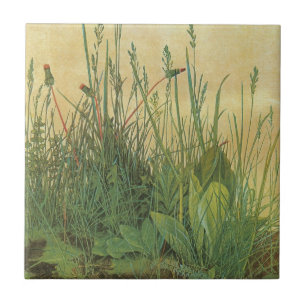 Azulejo De Cerámica La Gran Porción de Césped por Albrecht Durer