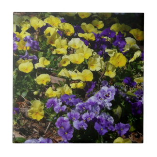 Azulejo De Cerámica La ladera de los Pansies morado y amarillo