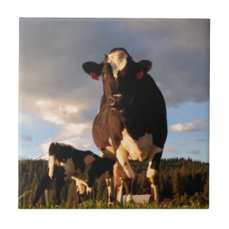Azulejo De Cerámica La leche de la mamá