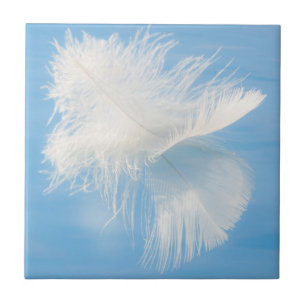 Azulejo De Cerámica La pluma blanca reflexiona sobre el agua  Marcas, 