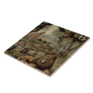 Azulejo De Cerámica La selva de la selva antigua